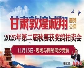 中国信鸽信息网视频直播