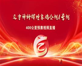 中国信鸽信息网视频直播