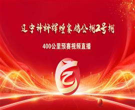 中国信鸽信息网视频直播