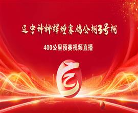 中国信鸽信息网视频直播