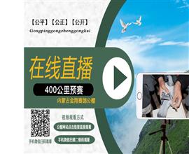 中国信鸽信息网视频直播