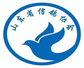 中国信鸽信息网视频直播