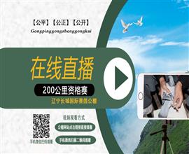 中国信鸽信息网视频直播