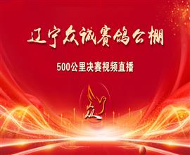 中国信鸽信息网视频直播