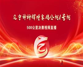 中国信鸽信息网视频直播