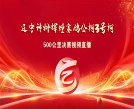 中国信鸽信息网视频直播