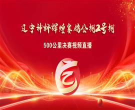 中国信鸽信息网视频直播