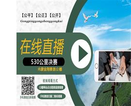 中国信鸽信息网视频直播