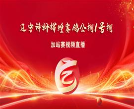 中国信鸽信息网视频直播