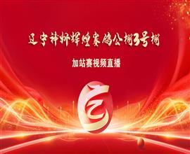 中国信鸽信息网视频直播