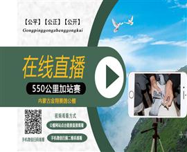 中国信鸽信息网视频直播