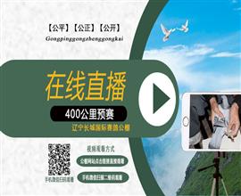 中国信鸽信息网视频直播