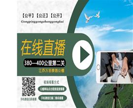 中国信鸽信息网视频直播