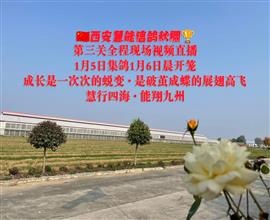 中国信鸽信息网视频直播