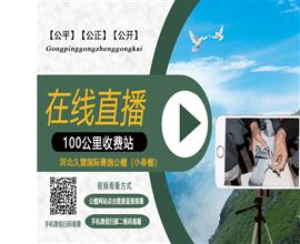 中国信鸽信息网视频直播