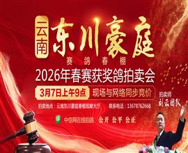 中国信鸽信息网视频直播