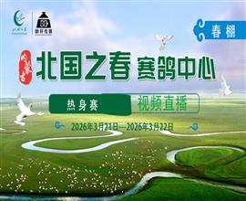 中国信鸽信息网视频直播