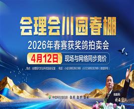 中国信鸽信息网视频直播