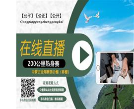 中国信鸽信息网视频直播