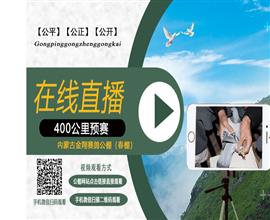 中国信鸽信息网视频直播