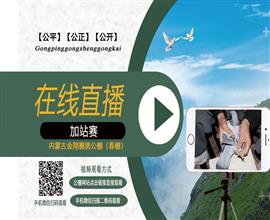 中国信鸽信息网视频直播