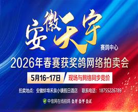 中国信鸽信息网视频直播