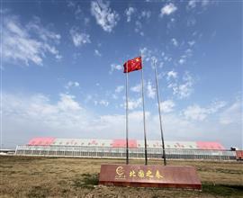 中国信鸽信息网视频直播