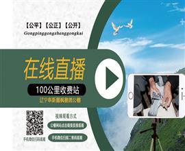 中国信鸽信息网视频直播