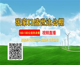 中国信鸽信息网视频直播
