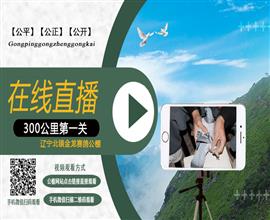 中国信鸽信息网视频直播