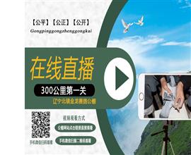中国信鸽信息网视频直播