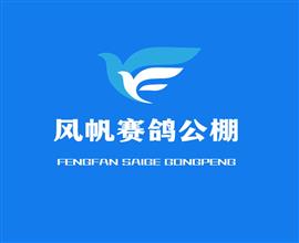 中国信鸽信息网视频直播