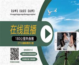 中国信鸽信息网视频直播