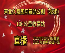 中国信鸽信息网视频直播