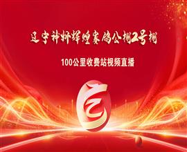 中国信鸽信息网视频直播