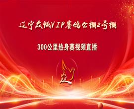 中国信鸽信息网视频直播