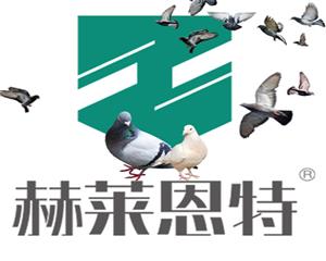 Ŵ