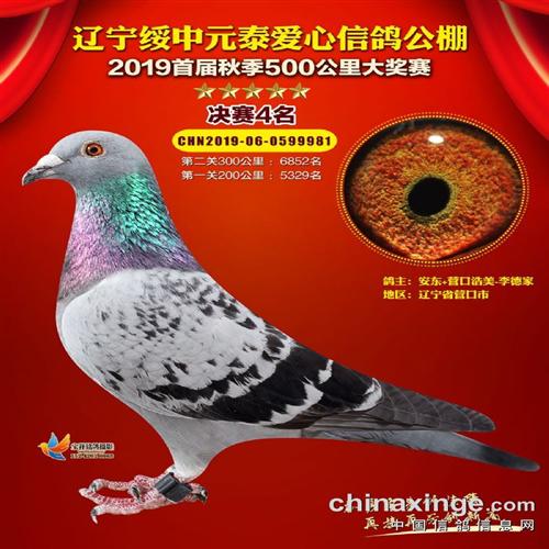 辽宁勇翔春棚热身赛468名927名