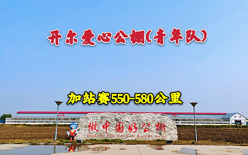 开尔爱心公棚(青年队)加站赛视频直播